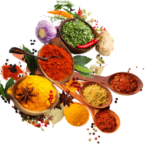 Mahalakshmi Traders contact Image